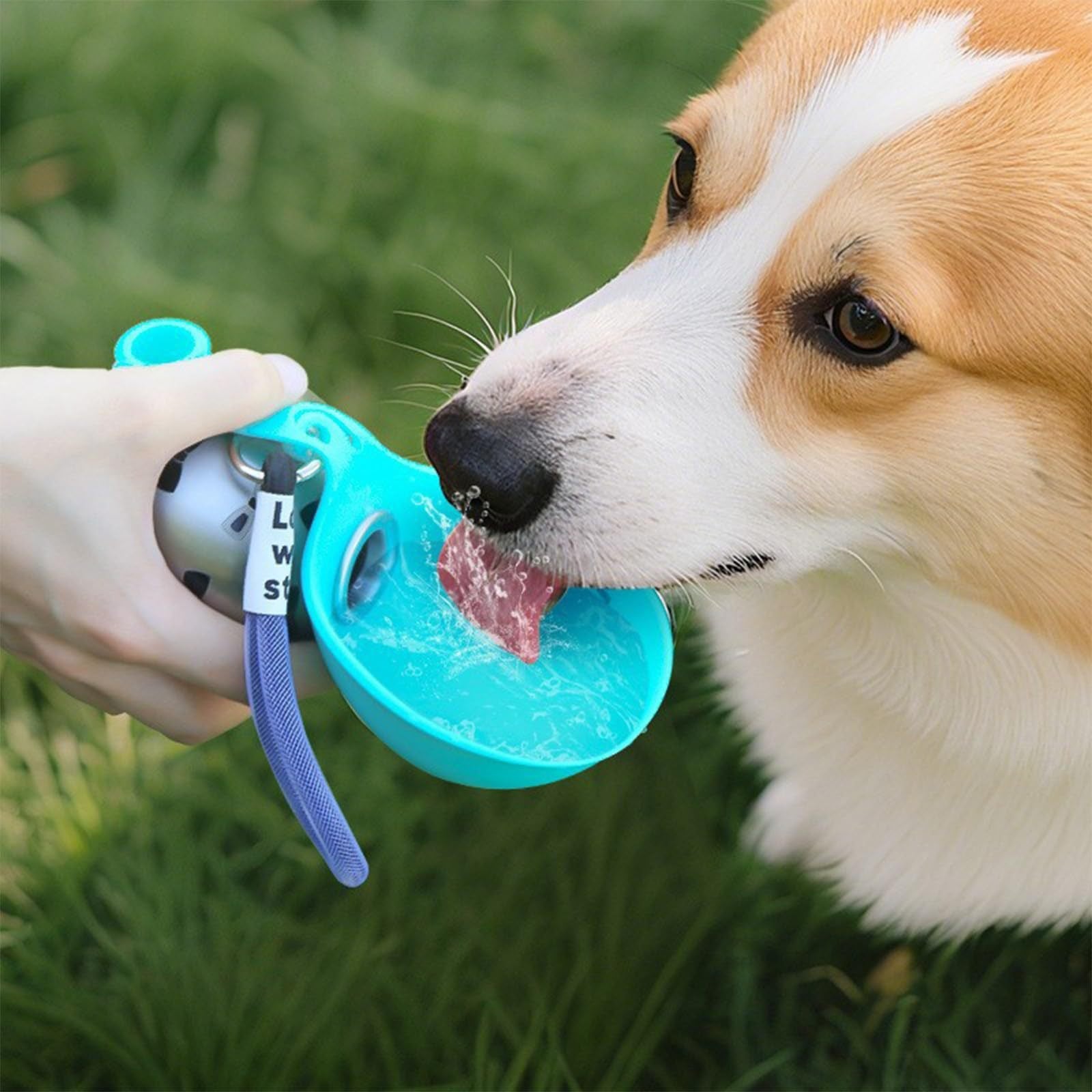 Compact Silicone Hiking Water Bottle with Carabiner, Perfect for Your Pet
