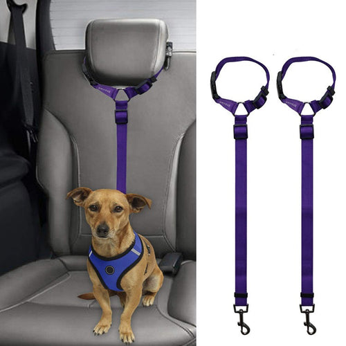 Adjustable Car Seat Belt Leash for Dogs & Cats