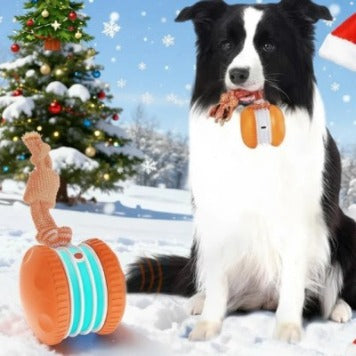 Pet Toy - Motion-Activated Rolling Ball, USB Rechargeable