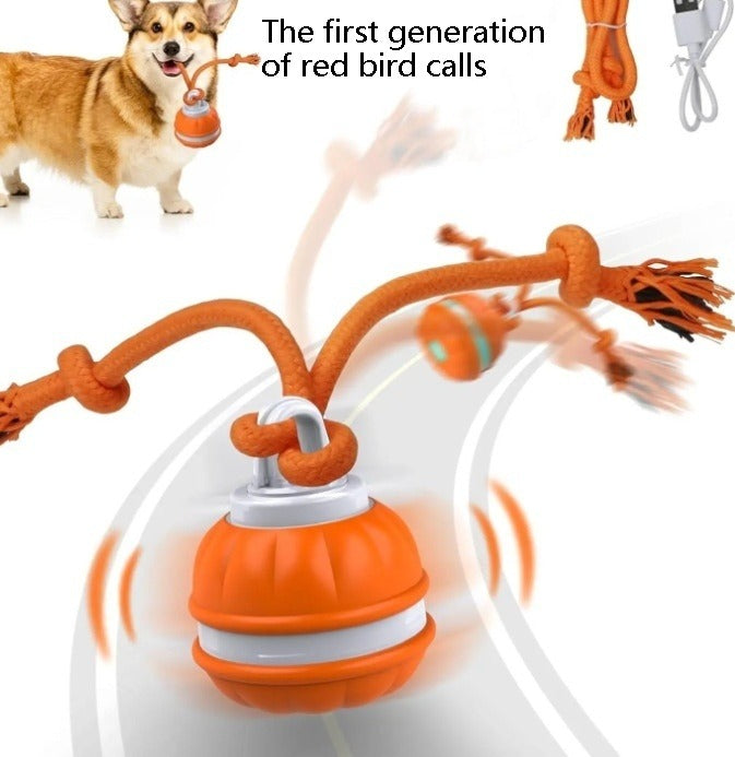 Pet Toy - Motion-Activated Rolling Ball, USB Rechargeable