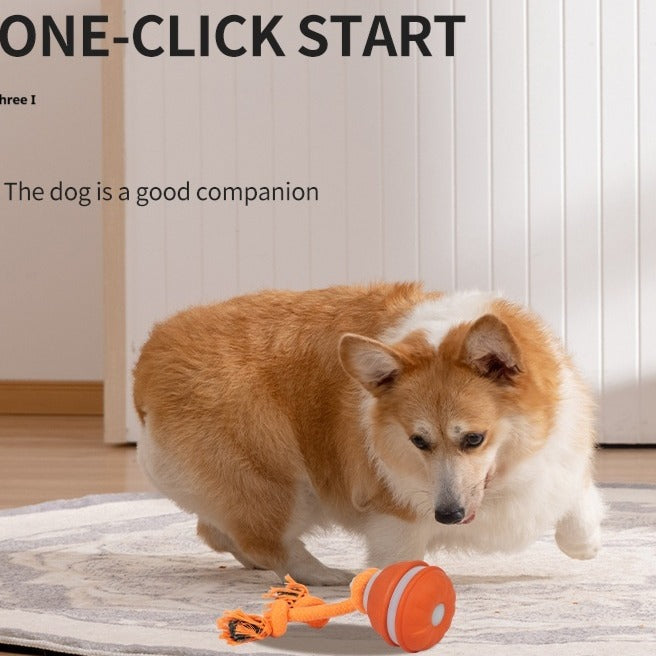 Pet Toy - Motion-Activated Rolling Ball, USB Rechargeable