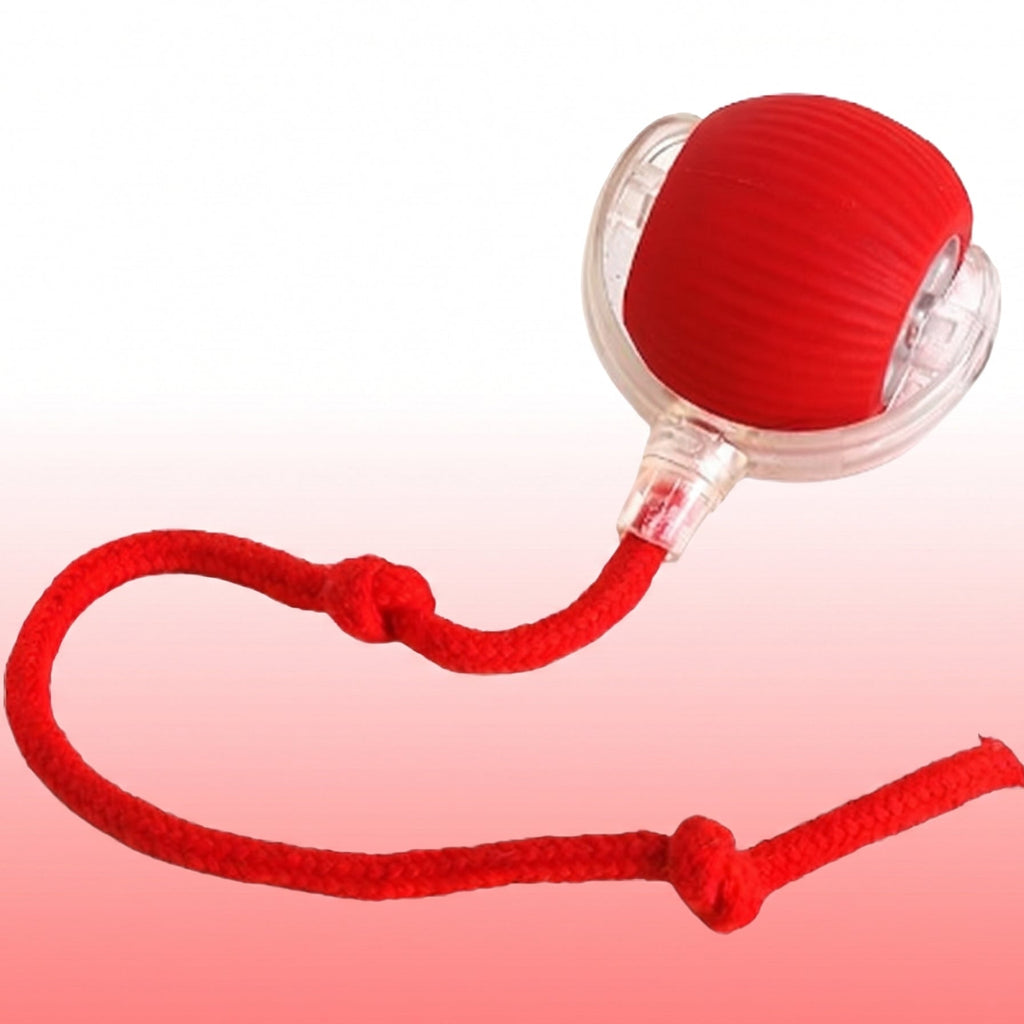 Stretchy Rope Ball Toy for Pets